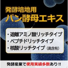 Ohly社 食品用酵母エキス 樋口商会 イプロス医薬食品技術